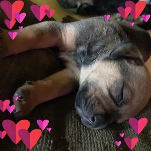 Meet your Posher, Charlene